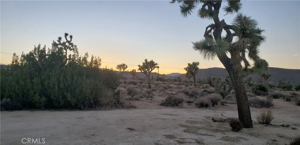 1234 Canton Street, Yucca Valley, CA 92284 - #1