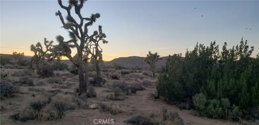 1234 Canton Street, Yucca Valley, CA 92284 - #3