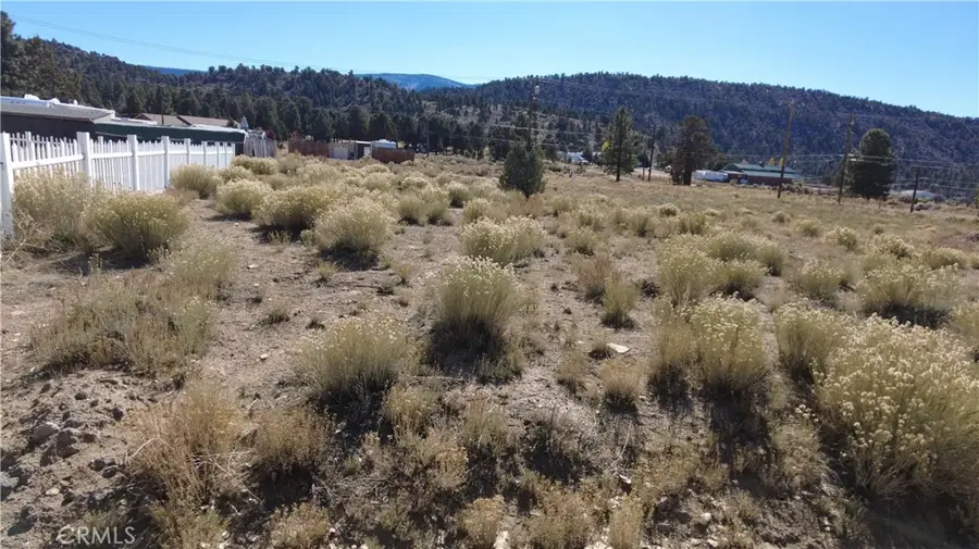 777 Old Pioneer Town, Big Bear City, CA 92314 - Image #3
