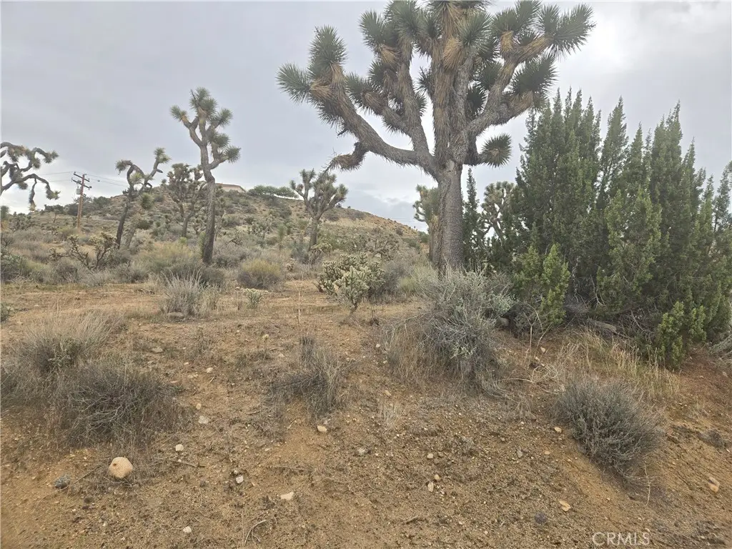 54763 Twentynine Palms Highway, Yucca Valley, CA 92284 - #1