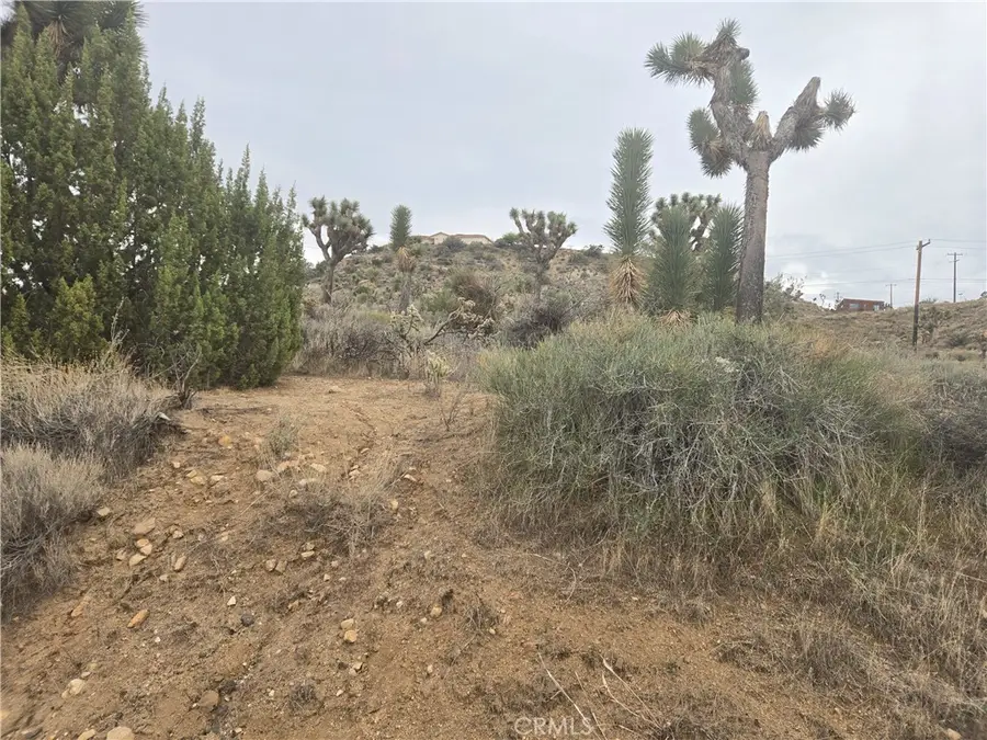 54763 Twentynine Palms Highway, Yucca Valley, CA 92284 - #2