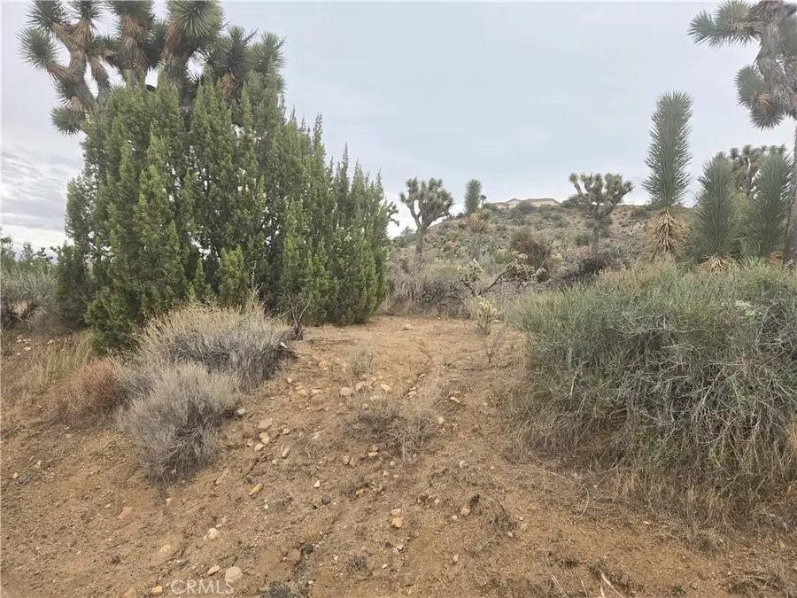 54763 Twentynine Palms Highway, Yucca Valley, CA 92284 - #3