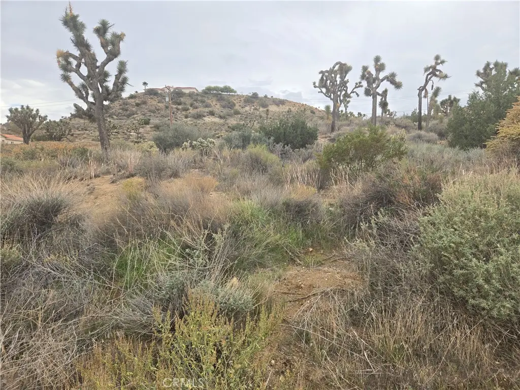 54777 Twentynine Palms Highway, Yucca Valley, CA 92284 - #1