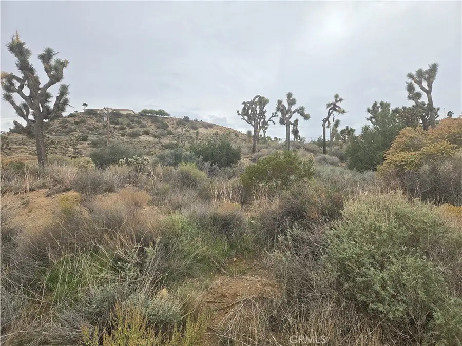 54777 Twentynine Palms Highway, Yucca Valley, CA 92284 - #2