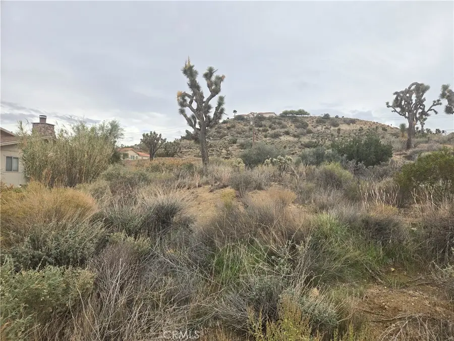 54777 Twentynine Palms Highway, Yucca Valley, CA 92284 - #3