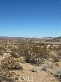 0 Jackass, 29 Palms, CA 92277