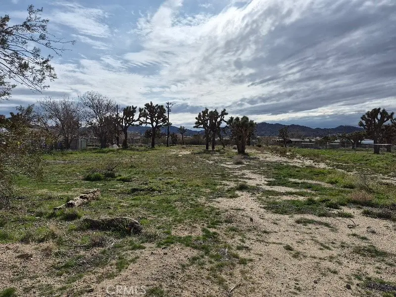0 Cassia Drive, Yucca Valley, CA 92284 - #2