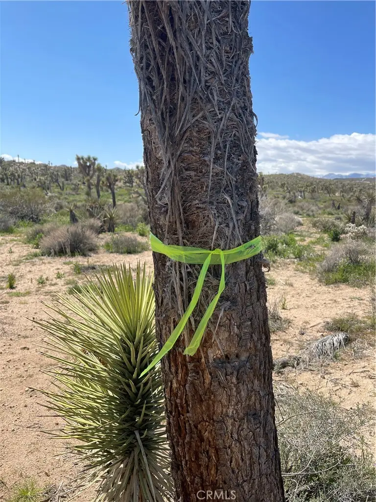 57300 Sunway, Yucca Valley, CA 92284 - Image #3