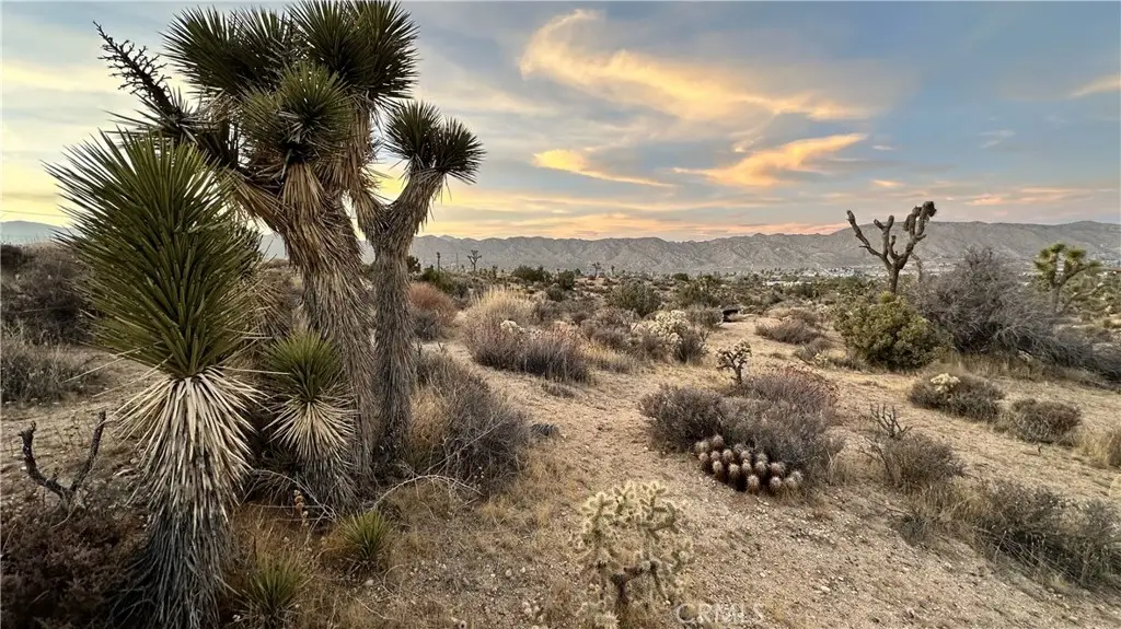 55370 Bunny Road, Yucca Valley, CA 92284 - #1