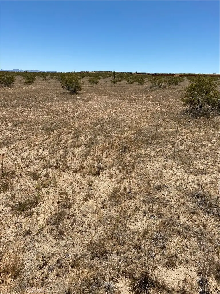 0 Fetlock, Landers, CA 92285 - #2