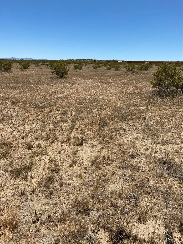 900 Fetlock, Landers, CA 92285 - #2