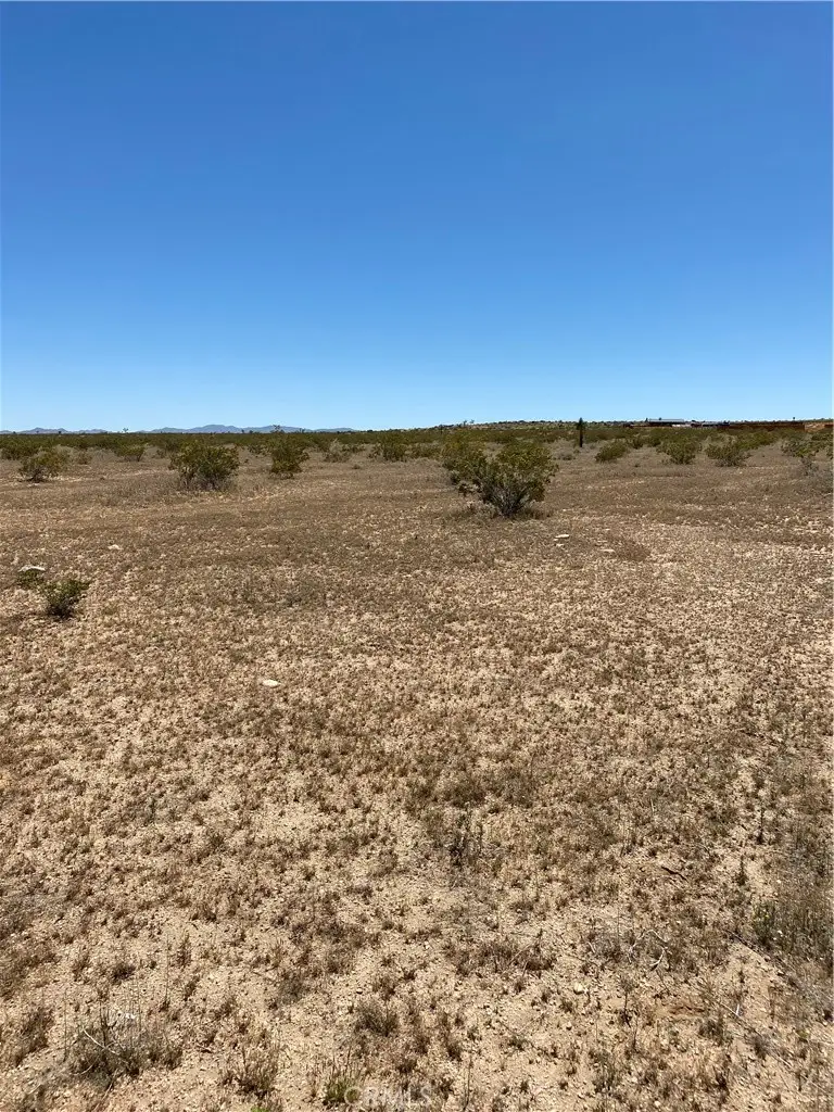 900 Fetlock, Landers, CA 92285 - #3