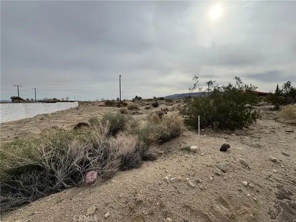 0 Elm (tamarisk), 29 Palms, CA 92277