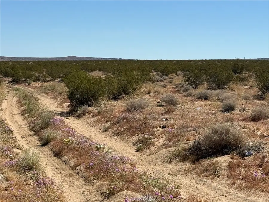 0 Ca-247, Johnson Valley, CA 92285 - #3