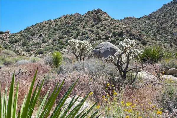 0 San Andreas, Joshua Tree, CA 92252