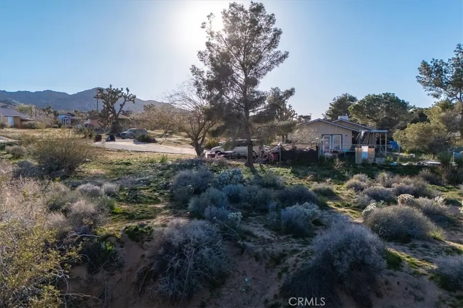 60432 Latham Trail, Joshua Tree, CA 92252 - #2