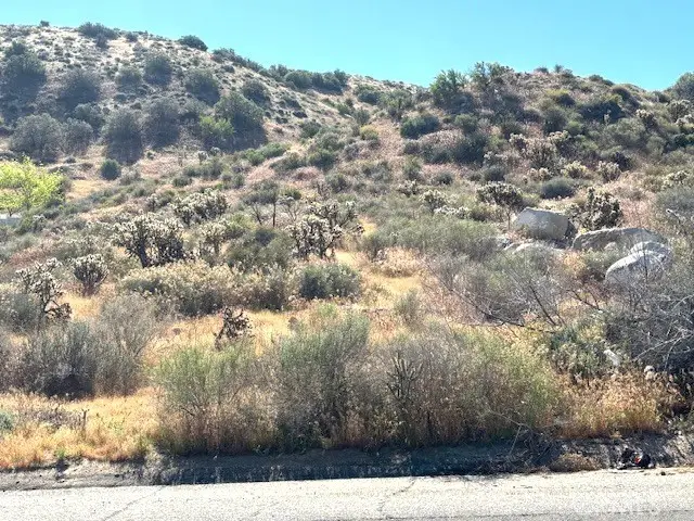 54025 Ridge Road, Yucca Valley, CA 92284 - #1