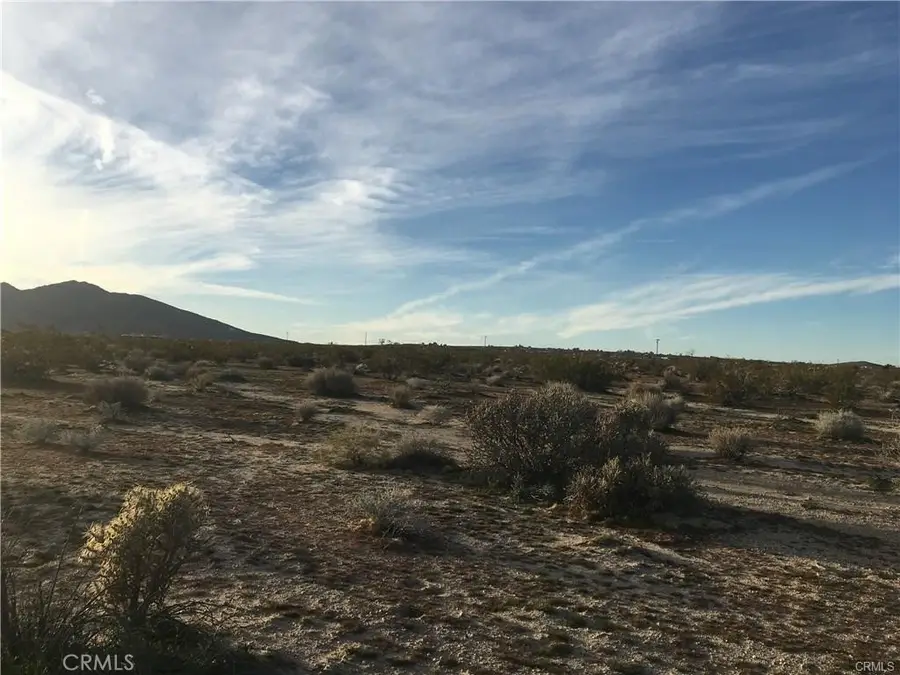 0 California, Joshua Tree, CA 92252 - #2