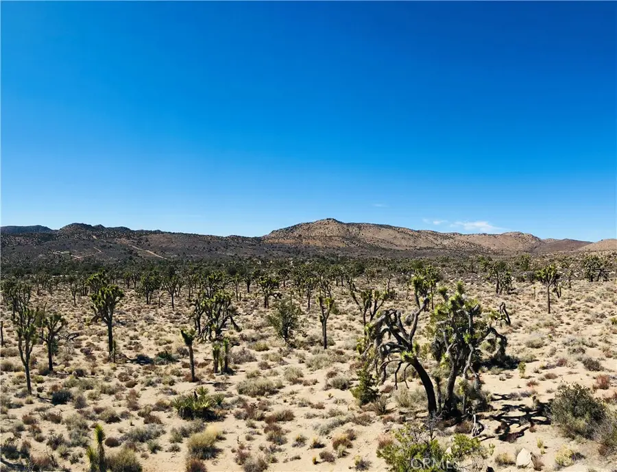 26 Vista Road, Landers, CA 92356 - #3