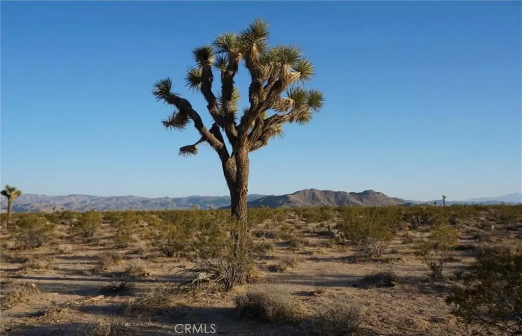 2172 Conejo Avenue, Joshua Tree, CA 92252 - #1