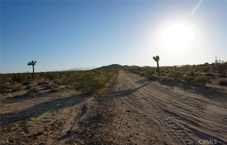 2172 Conejo Avenue, Joshua Tree, CA 92252 - #3