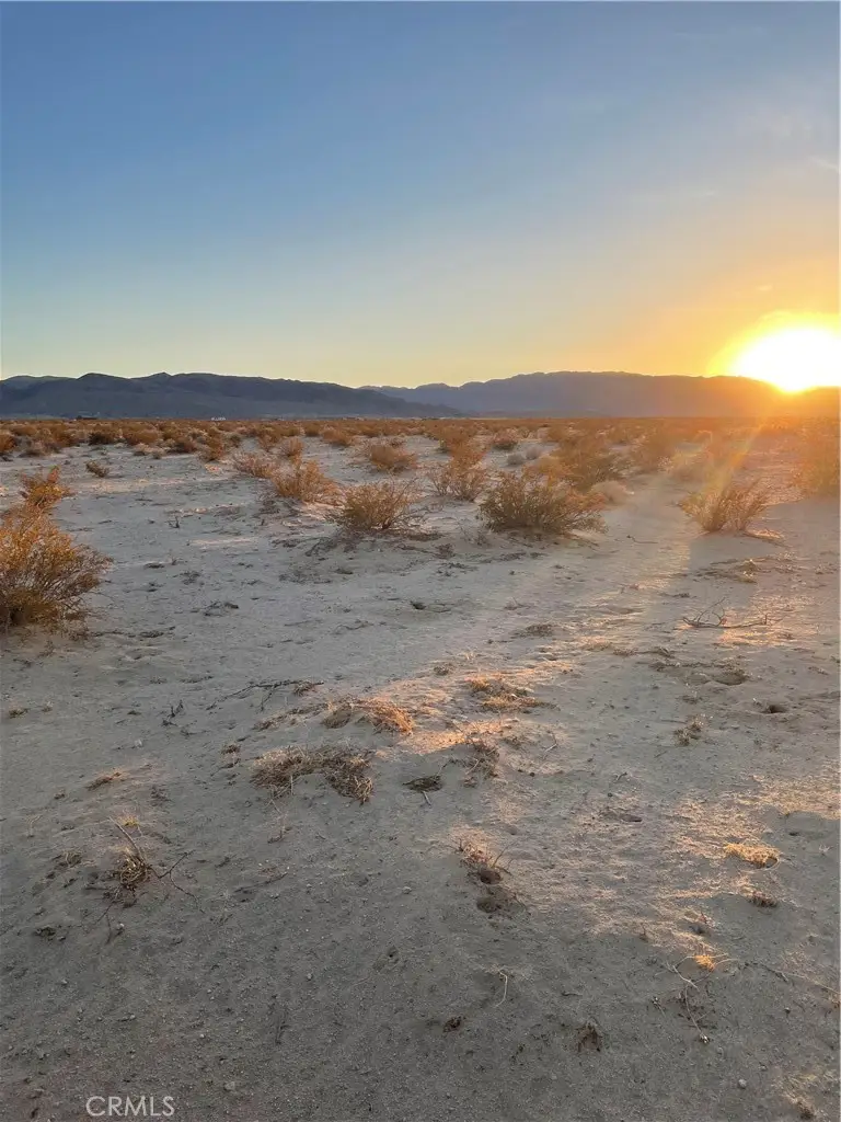 78201 Two Mile Rd, Twentynine Palms, CA 92277 - #3