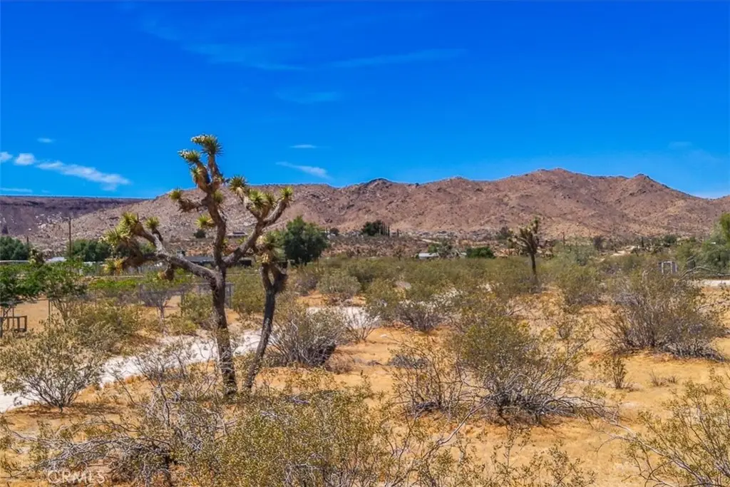 55926 Tananger Road, Yucca Valley, CA 92284 - #1