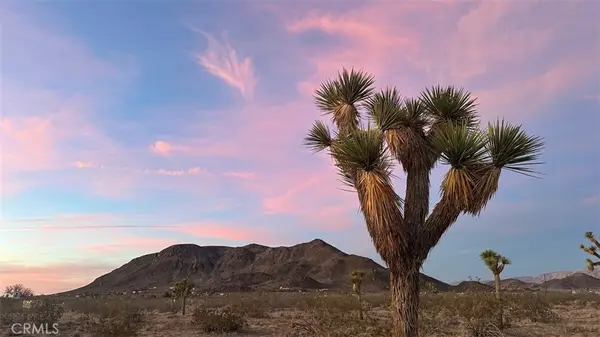 59775 Bearing Tree Road, Landers, CA 92285