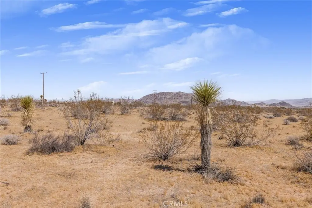3 Ducor Avenue, Landers, CA 92285 - #1