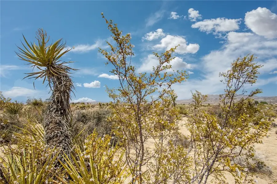 61246 Melton Trail, Joshua Tree, CA 92252 - #3