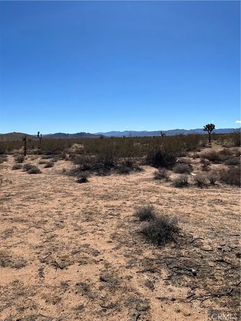 0 Avalon, Landers, CA 92285 - #1