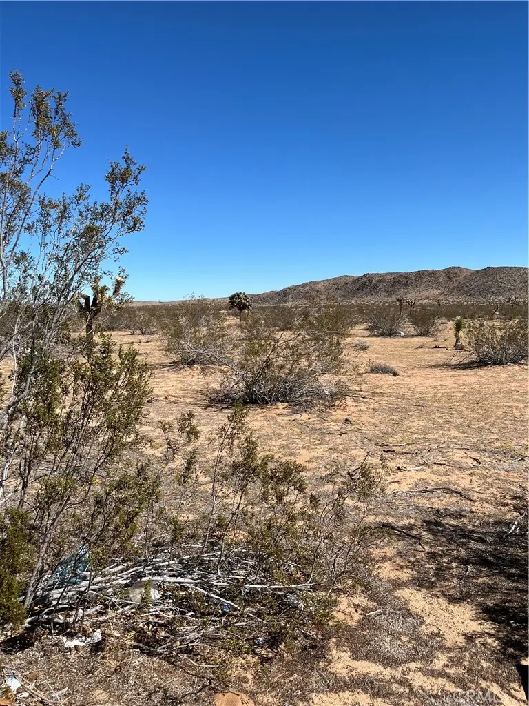 0 Avalon, Landers, CA 92285 - #2