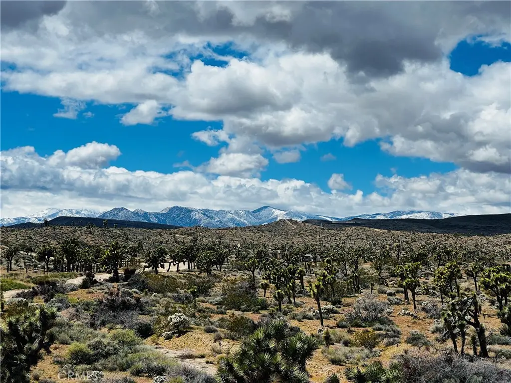 57864 Sunflower Drive, Yucca Valley, CA 92284 - #1