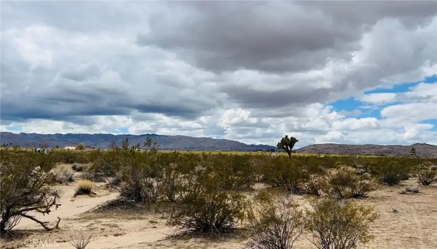 62985 Broadway Street, Joshua Tree, CA 92252 - #3