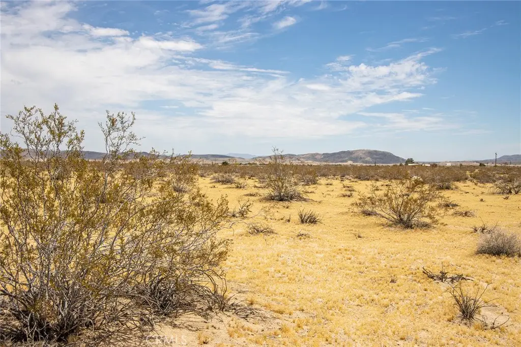 5589 Sutton Avenue, Joshua Tree, CA 92252 - #1