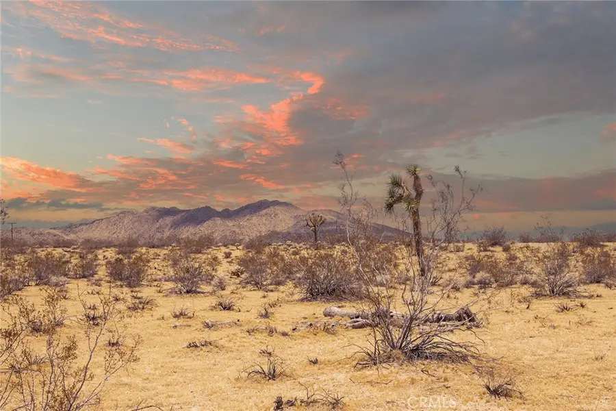 5589 Sutton Avenue, Joshua Tree, CA 92252 - #3