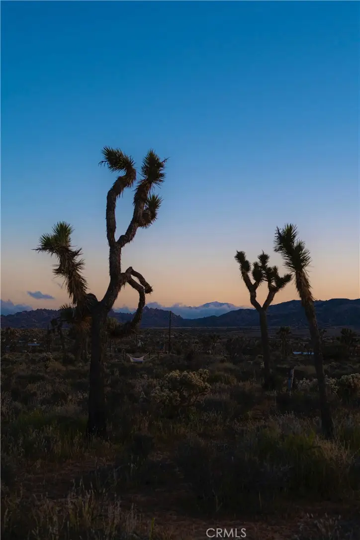2171 Billy Bob Lane, Pioneertown, CA 92268 - #3