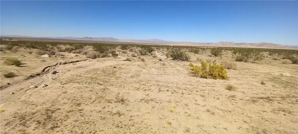 0 N Joshua Tree Road, Johnson Valley, CA 92285 - #1