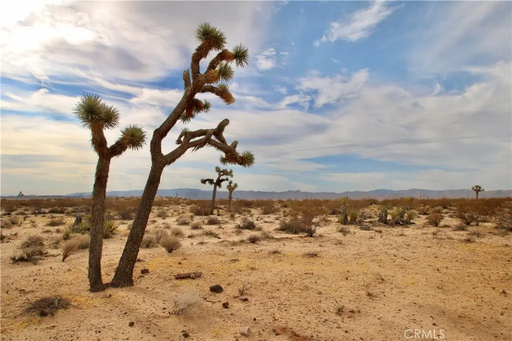 0 Cielito Drive, Joshua Tree, CA 92252 - #1