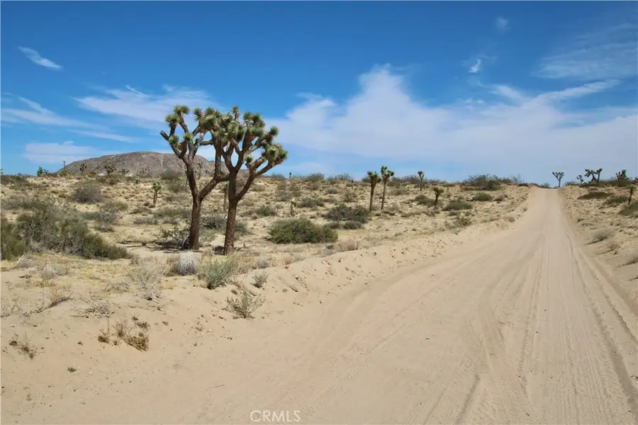 0 Pine Street, Landers, CA 92285 - #2
