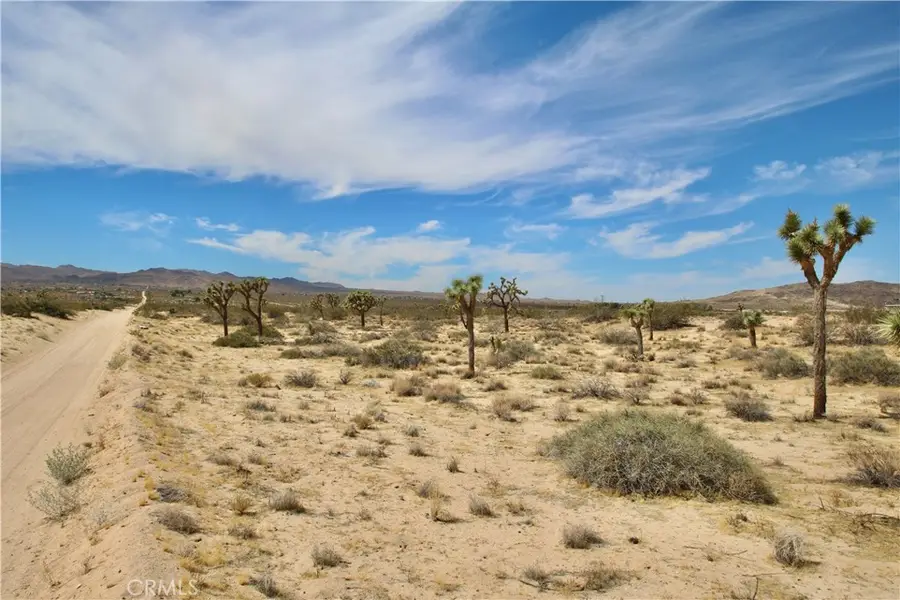 0 Pine Street, Landers, CA 92285 - #3