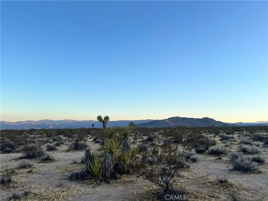 1010 Celeste Road, Joshua Tree, CA 92252 - #2