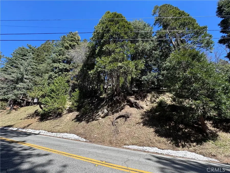 0 North Road, Twin Peaks, CA 92391 - #2