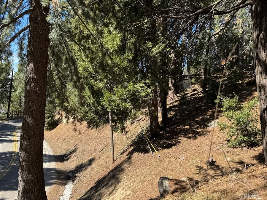 0 North Road, Twin Peaks, CA 92391 - #3