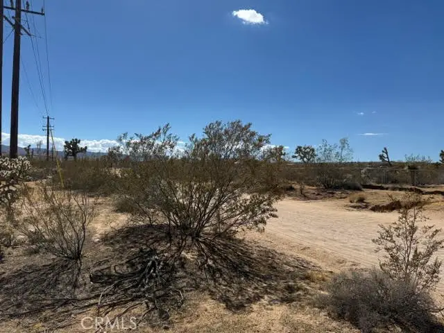 1234 Alta, Yucca Valley, CA 92284 - #2