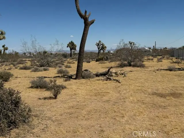 1234 Alta Avenue, Yucca Valley, CA 92284 - #1