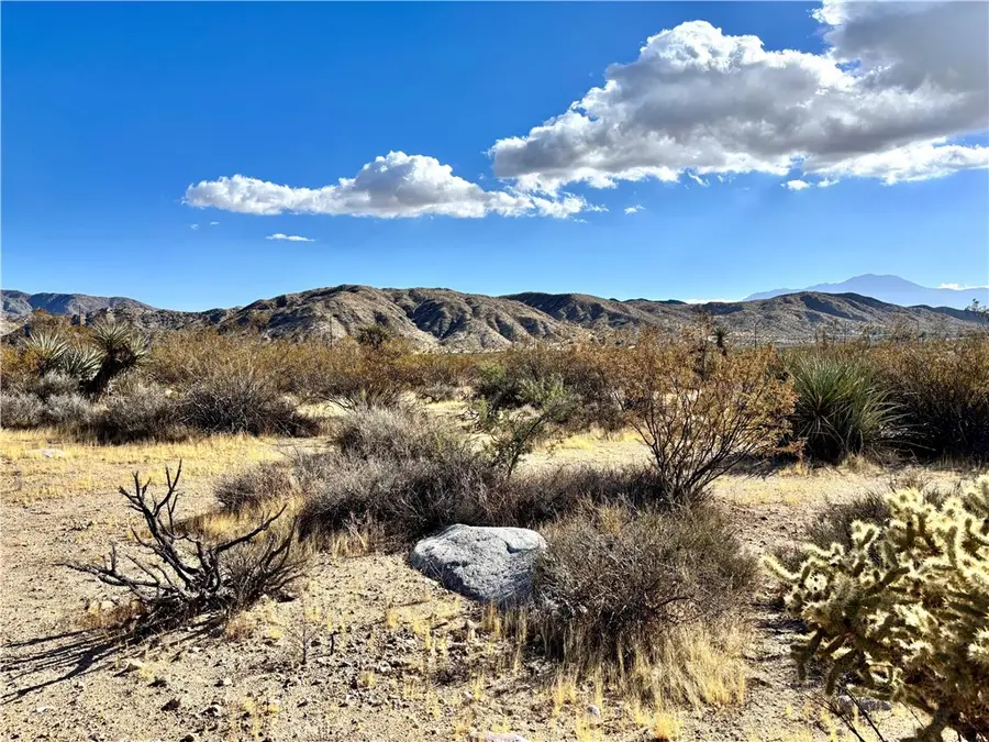 4321 Cheyenne Trail, Morongo Valley, CA 92256 - #3