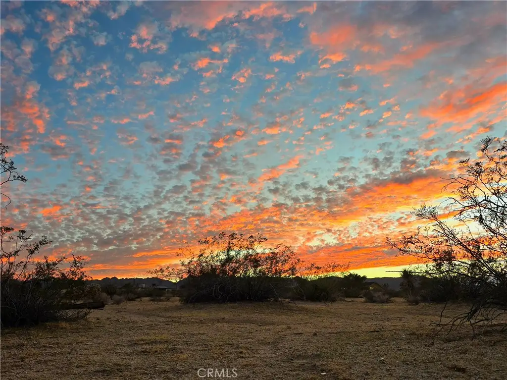 70170 Old Dale Road, Twentynine Palms, CA 92277 - #1