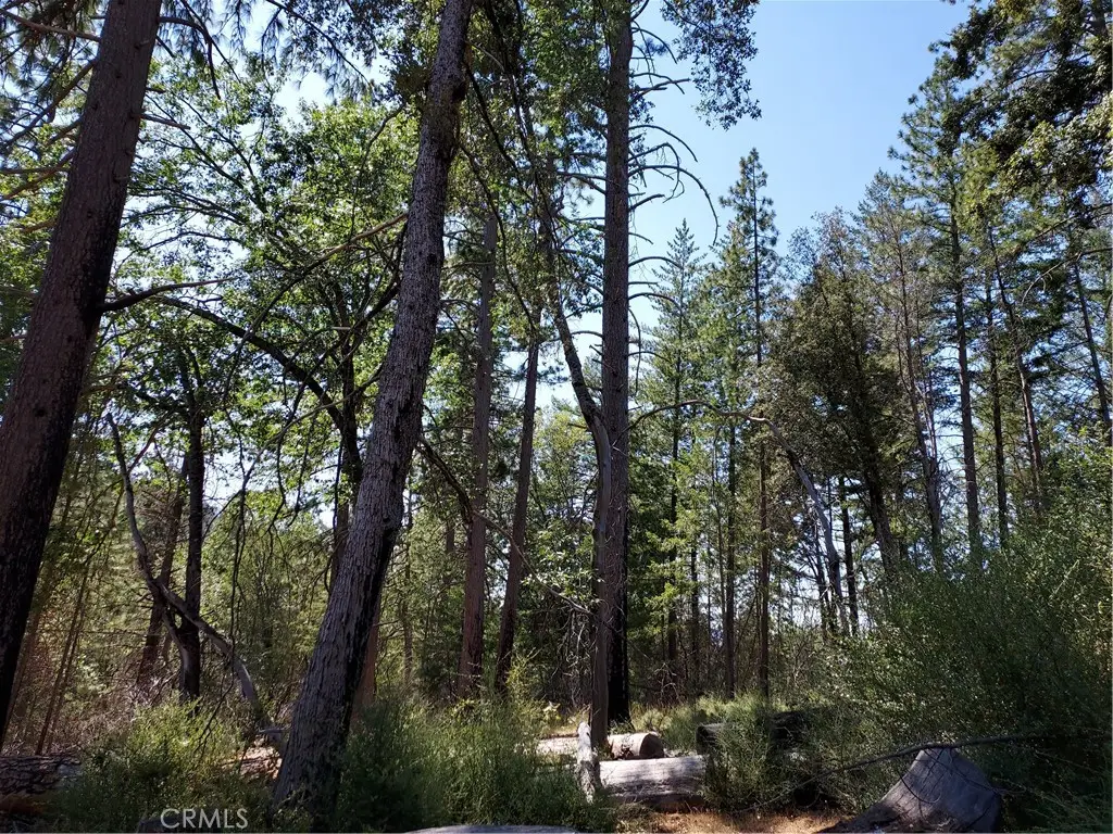 16102 Sugar Pine Ridge Road, Cobb, CA 95426 - #1