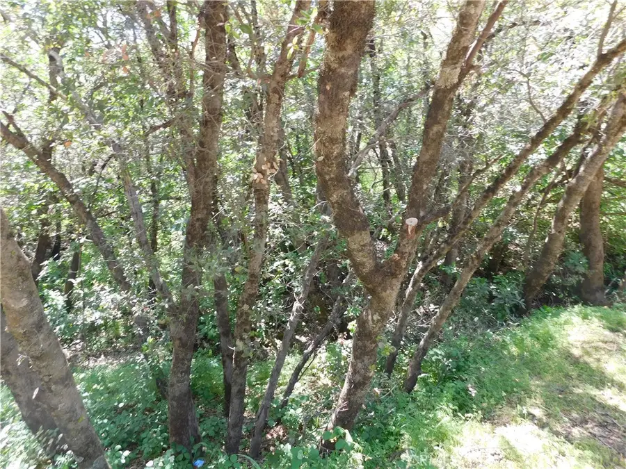 15773 39th Avenue, Clearlake, CA 95422 - Image #3